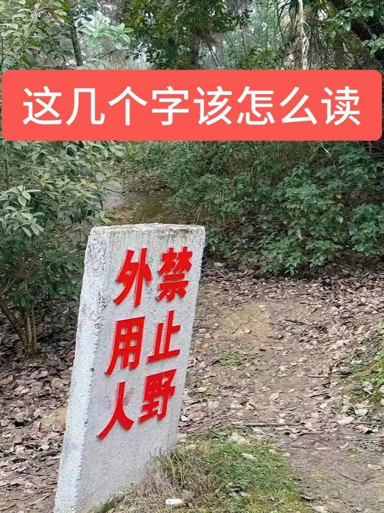 不懂就问：这几个字，该怎么去读啊？