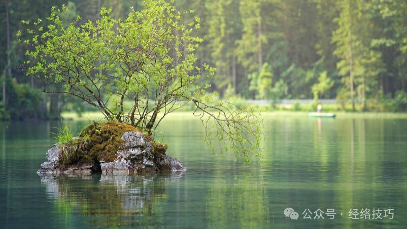 阿胶、红枣不补血？这些被忽略的食材，才是气血充足的密码