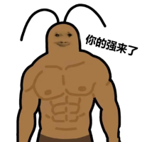 你相信光头强吗