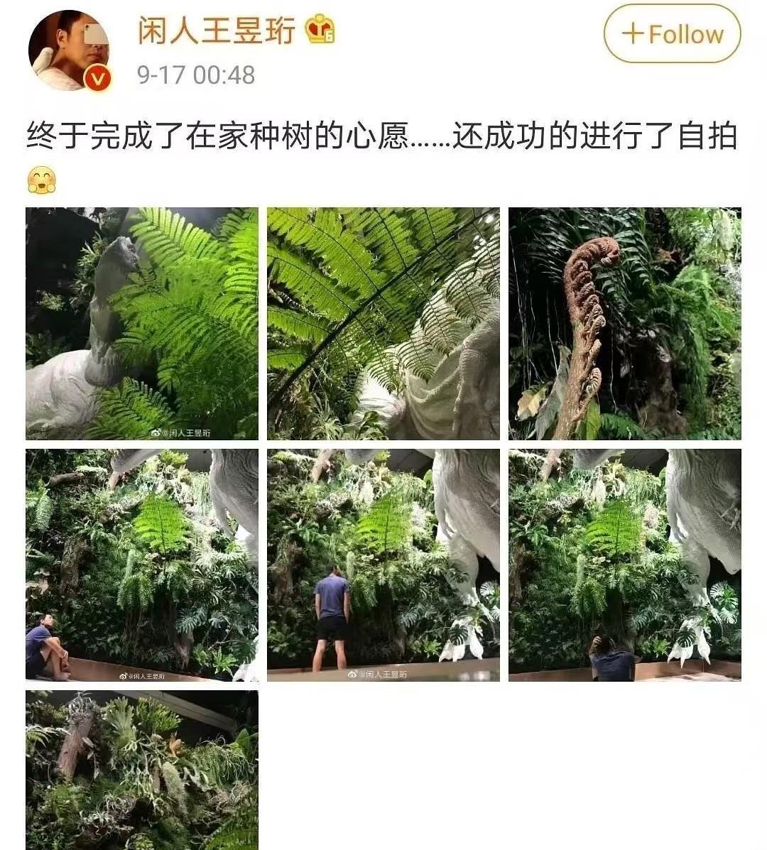 喜马拉雅山烟花秀去参观的人不少
除了被邀请的户外爱好者们
还有引人注目的水哥王昱