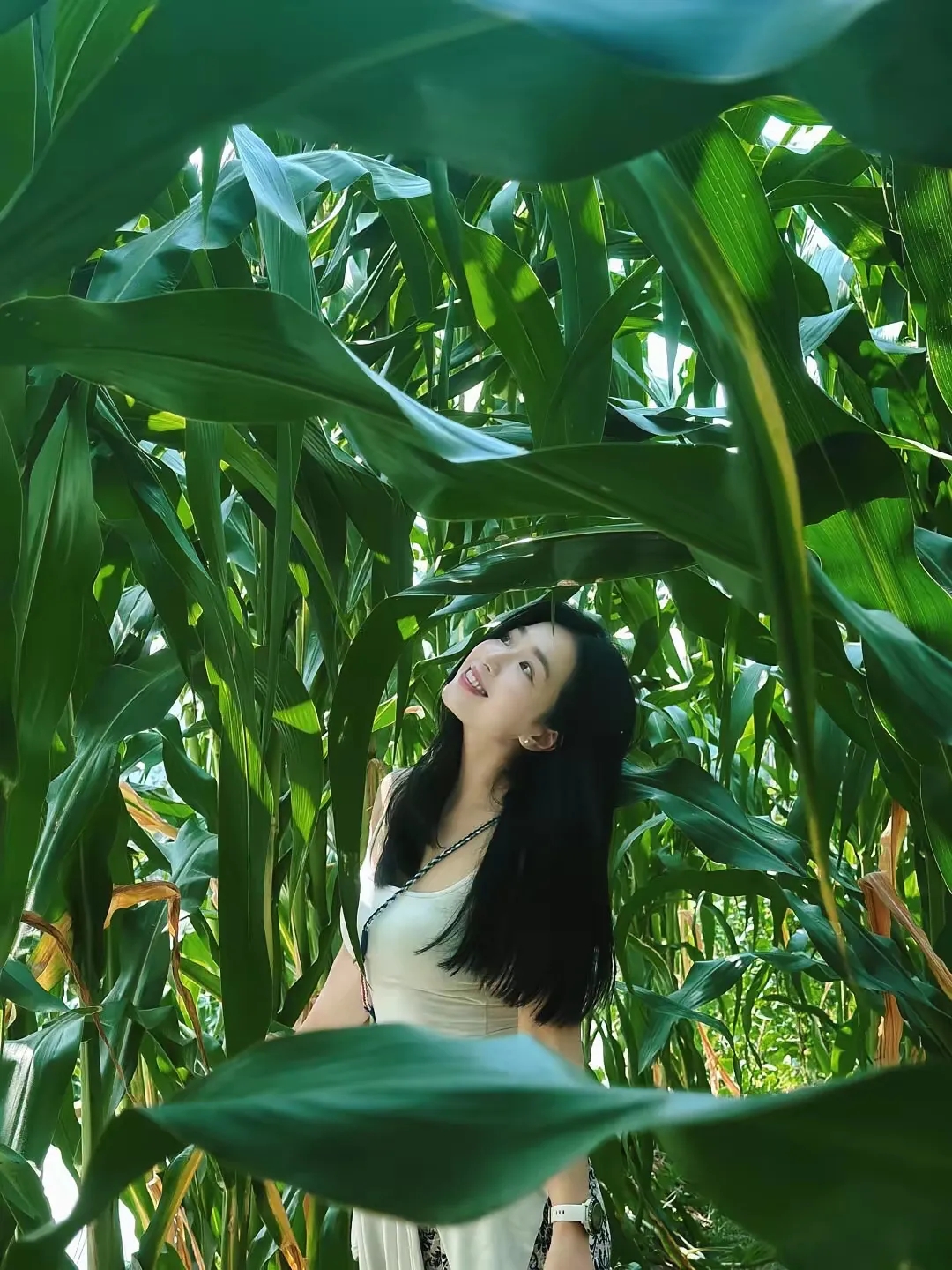 这照片拍得还不错吧，有没大师水准？
