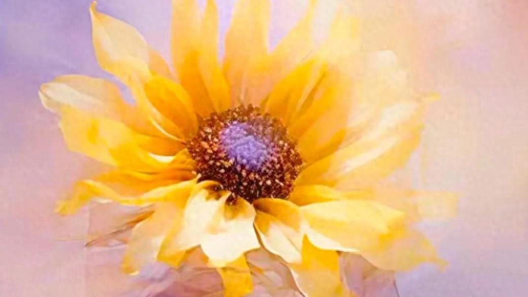 思危，思退，思变，对当下担当，对未来负责