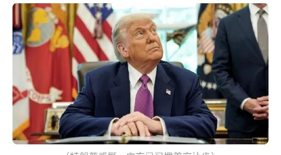 也挺纳闷的，懂王及其一大堆谋士究竟考虑到我们出稀土这张牌没有？
到差点翻白眼的时