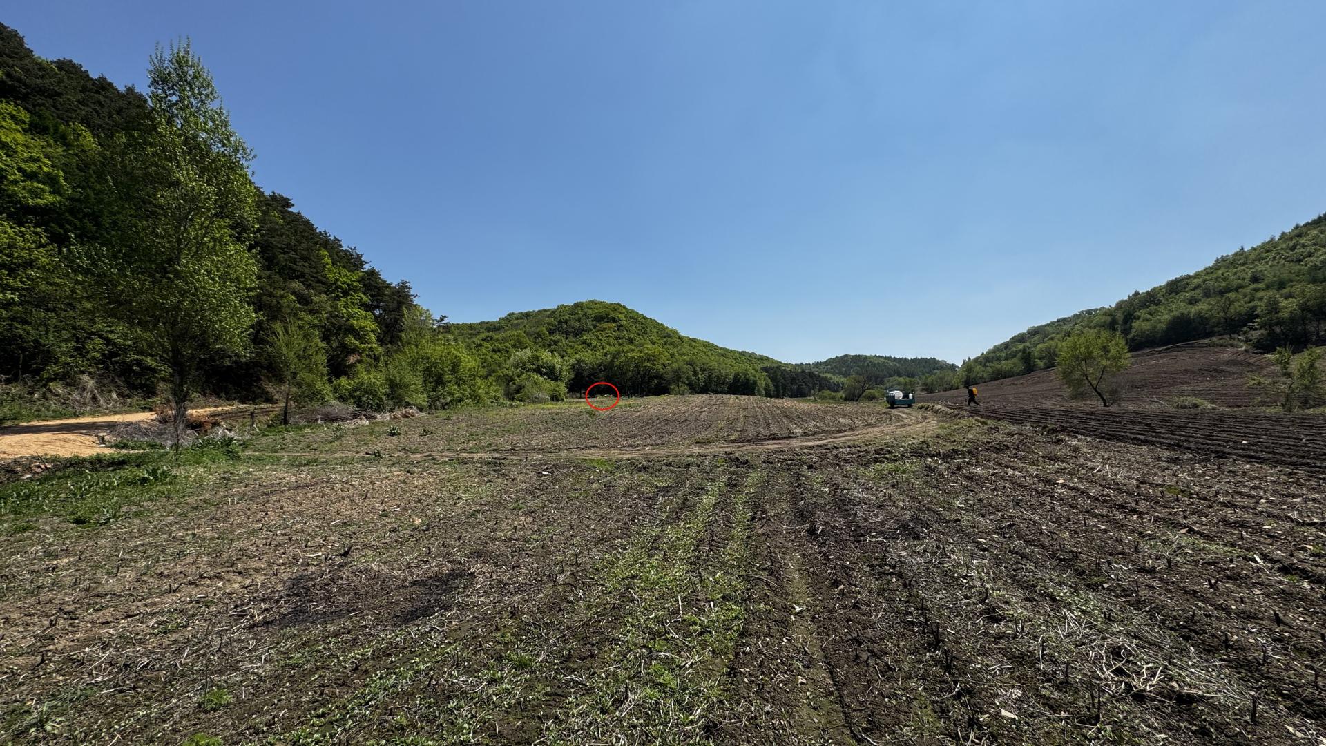 某超级大明星祖坟：土腹生金，金星出乳（金星吐火舌）（多图）