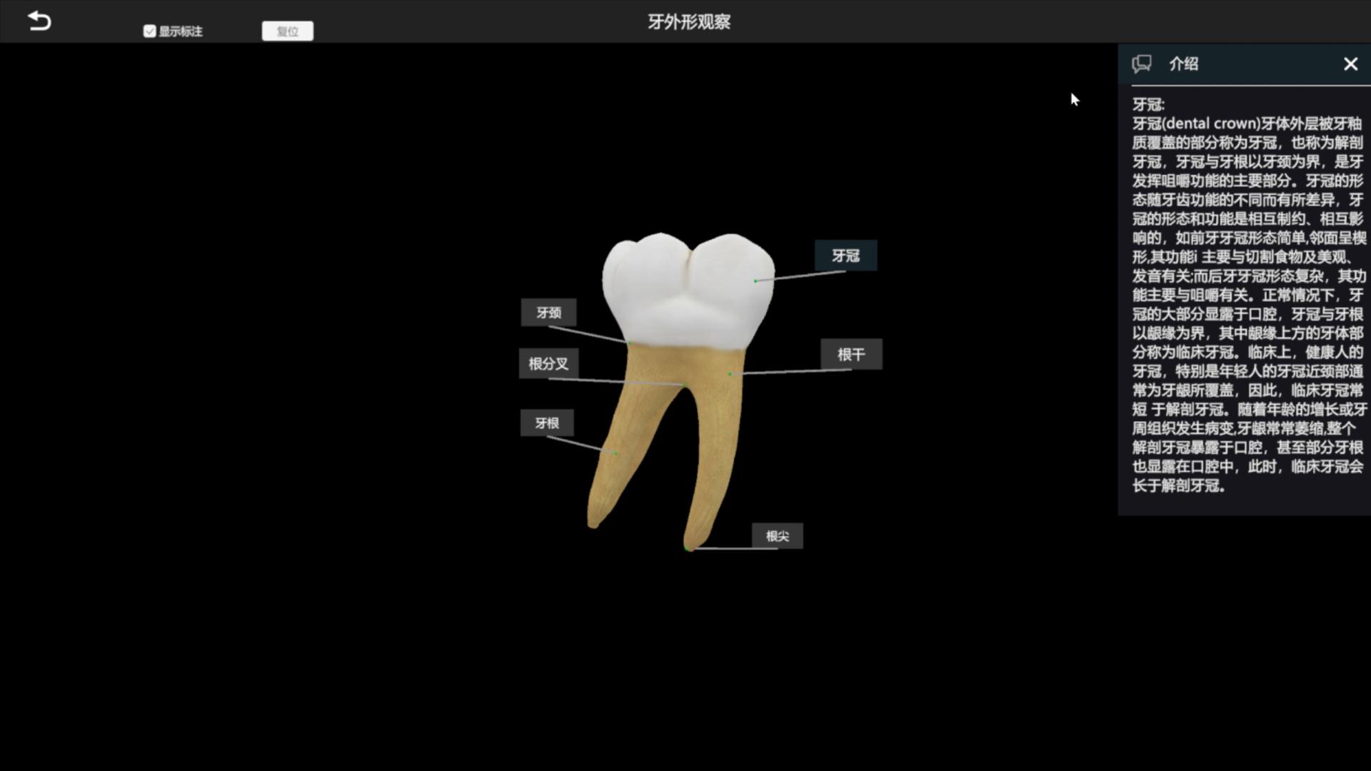 数字化转型：口腔解剖虚拟仿真系统在职业院校的实践与探索