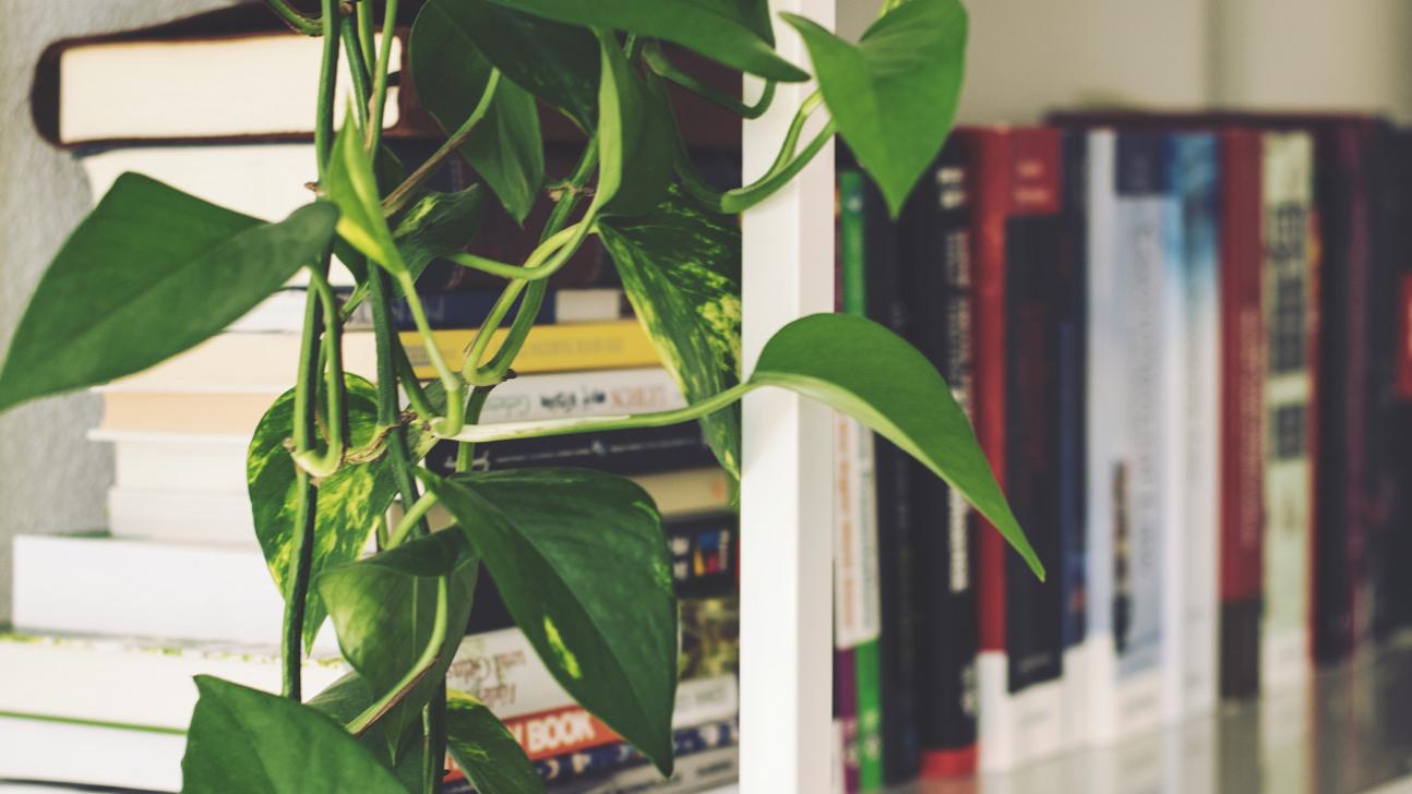 2025年度集团公司党委书记民主生活会个人发言提纲