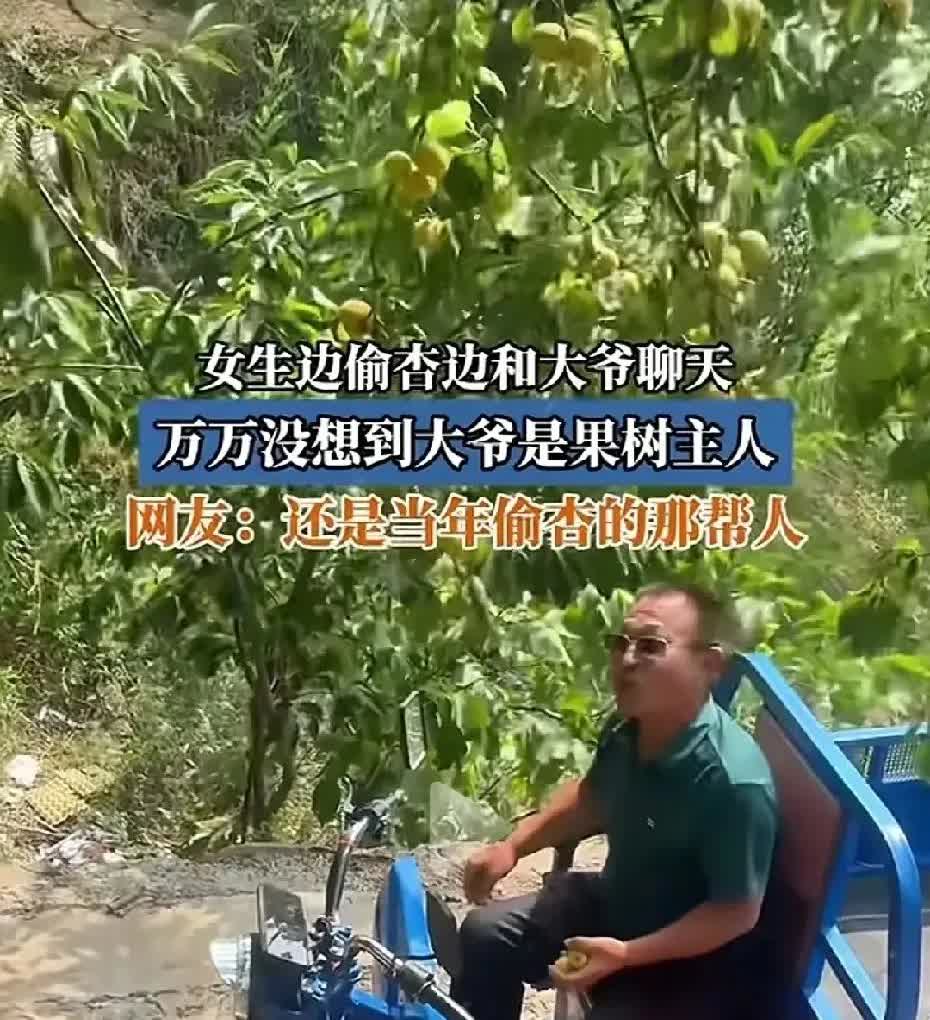 谁能想到！偷杏竟被主人撞个正着，一女子发文分享了自己偷杏的奇妙经历。她偷杏时被大