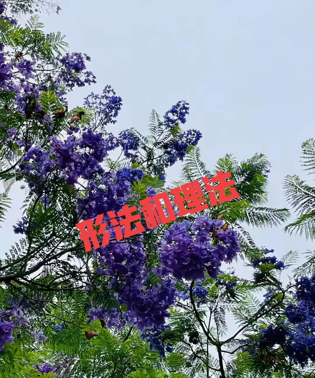 形法与理法
形法为主：先观山势是否藏风得水，再以理气（如玄空飞星）调整方位。例如