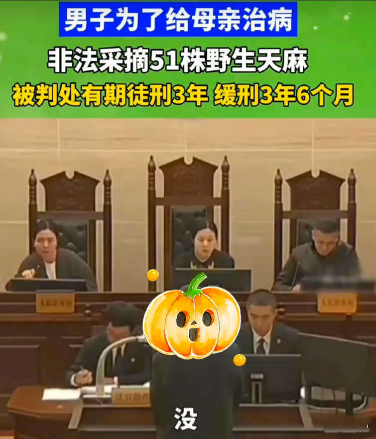 李时珍要是活着现在，说不准也会吃牢饭。