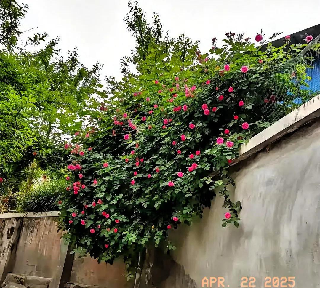 你发现没有
自山西大同案件之后，相亲市场的男孩们更加觉悟了，不得不说，这个案件对