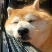 爱与理想的叙事