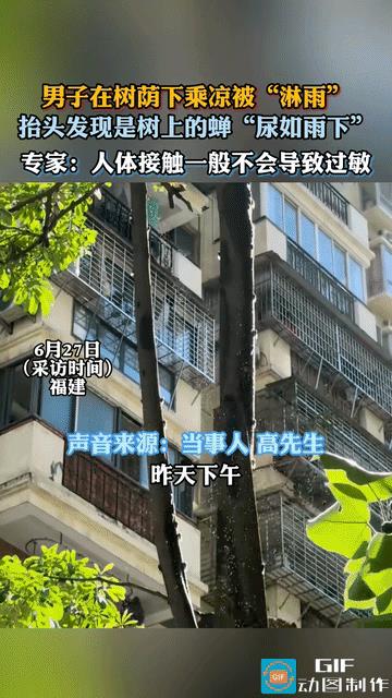 “太离谱了！”福建，一男子中午在小区树下乘凉，本想图个清静，结果没想到被“泼了一