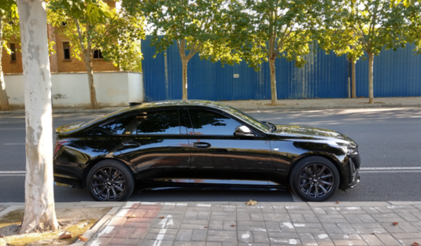 发现ct5车头向着阳光更好看，视觉上线条更运动流畅。
今天湖边偶遇一个小兄弟，也