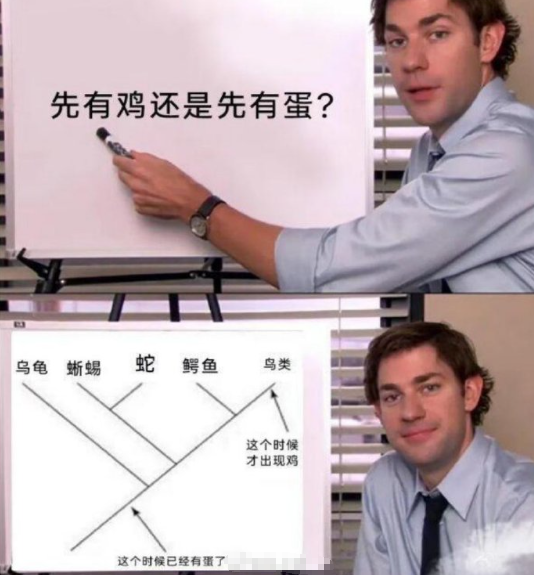 世界难题先有鸡还是先有蛋解决了～ ​​​

