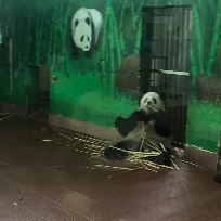 往昔如烟明日如云