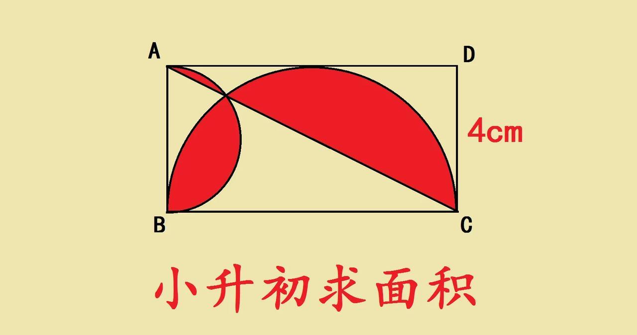 小升初求阴影面积题，难哭学霸的几何题，长方形ABCD，宽4cm，里面有两个半圆弧
