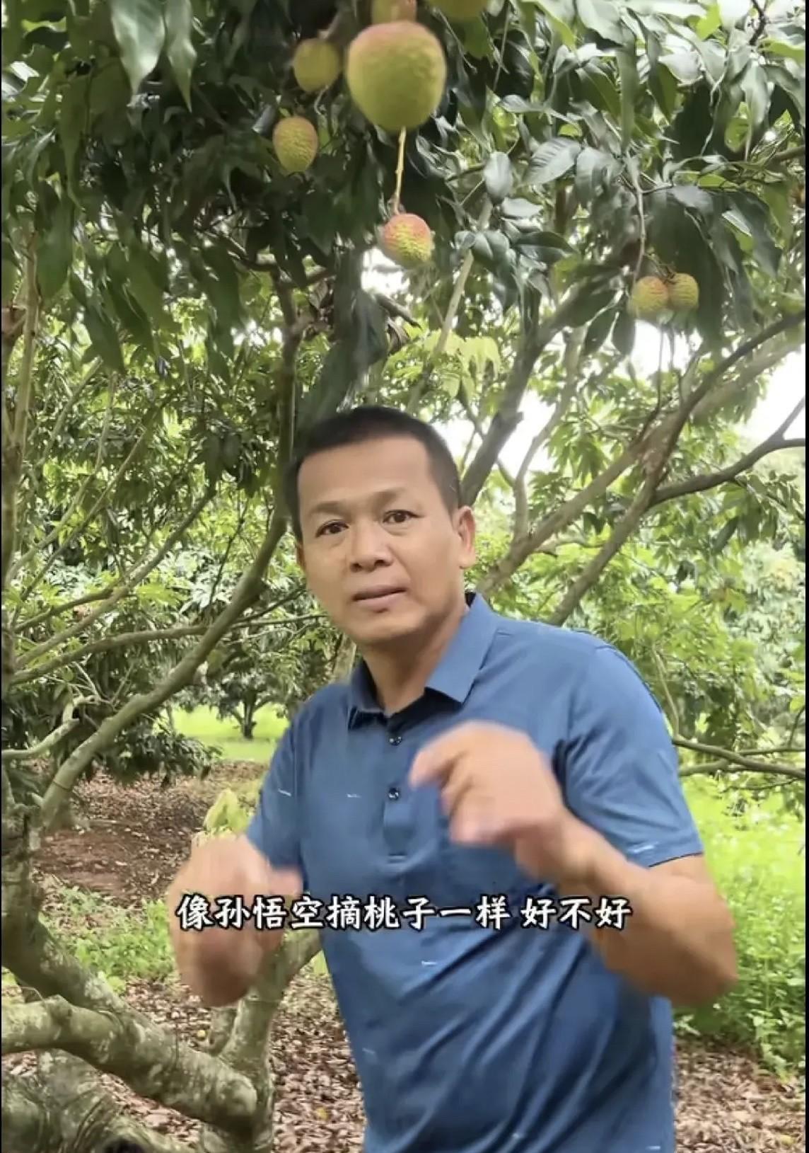 天呀！全红婵家果园受损严重，全文茂直呼：受不了了！
14号“蝴蝶”太凶猛了，全文