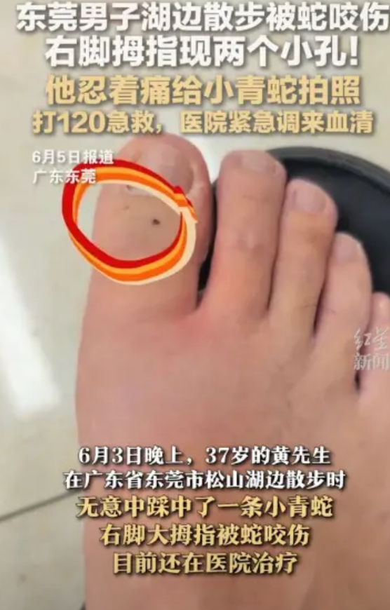 “这才是聪明人做法！”6月3日，广东东莞，一男子在湖边散步时，无意间踩中一条小青