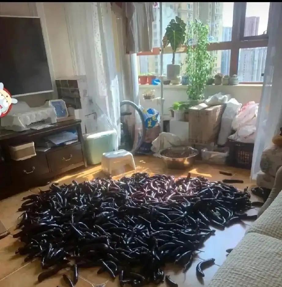 这么多吃不完怎么办？