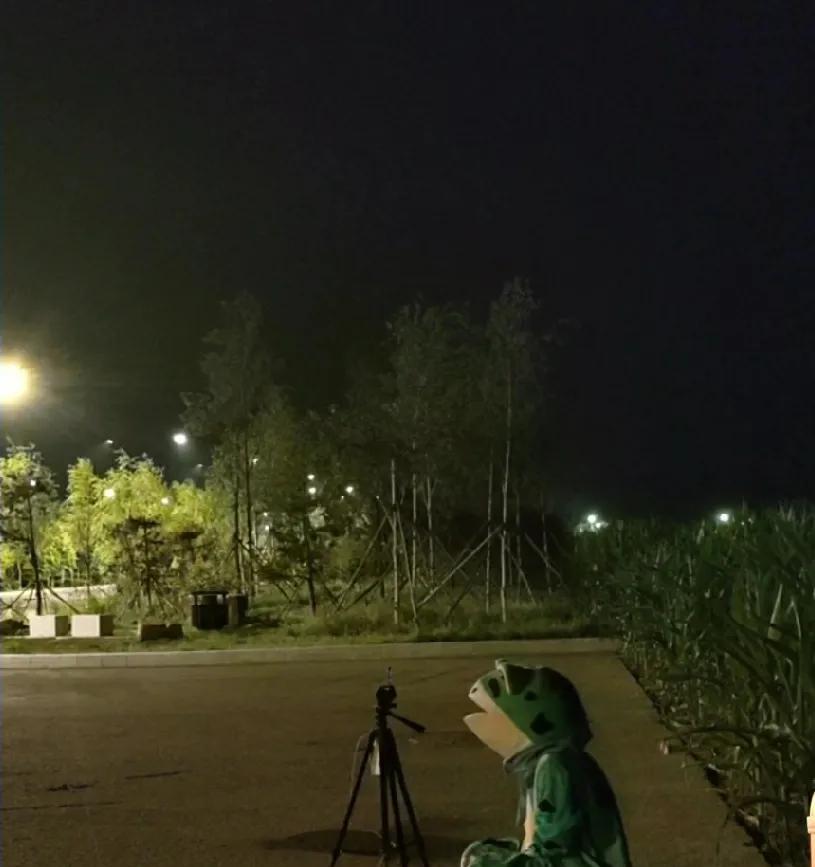 我不知道网友们看到她们的第一反应是什么？我是既同情又觉得她们有点可怜。
一个女生
