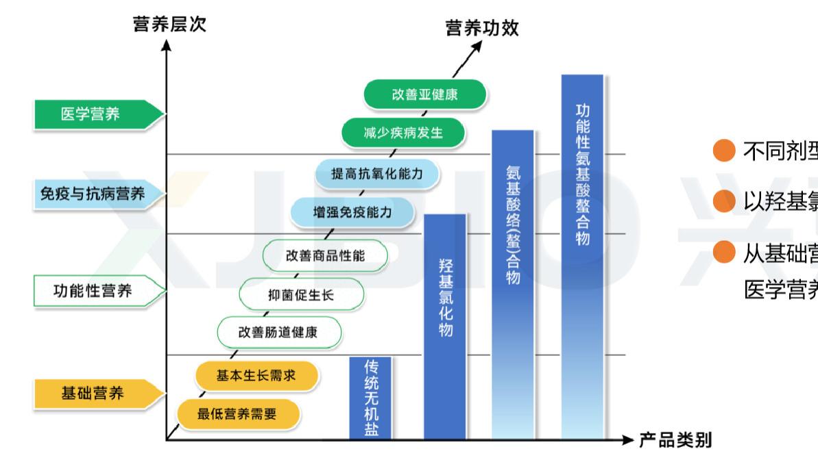 走进微量元素：兴嘉生物带你重构科学的价值认知