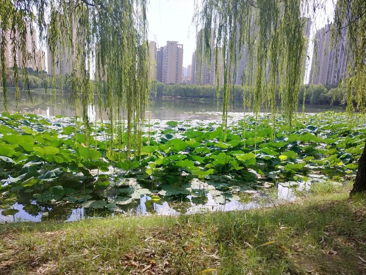 高中成绩不足400分的，选择春季高考是个不错的选择。
亲戚家儿子高中成绩不太好，