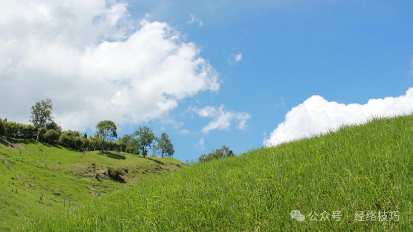 《黄帝内经》：你爱吃的“酸味”，可能正在压制你的脾气！很多人却天天吃