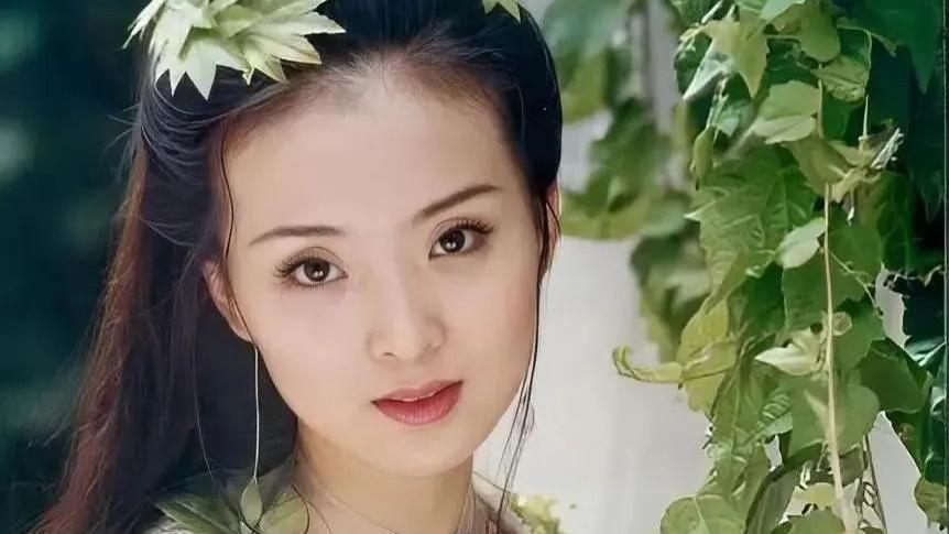 从晴儿式周姨娘到豪门“隐形女主”，王燕这步棋下得比《雁回时》更绝