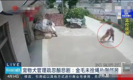 狗撞老人致死后拒赔10万，终被判赔40万！江苏某村发生一起令人唏嘘的邻里纠纷：七
