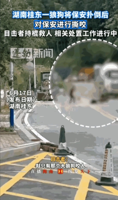湖南，男子出去倒垃圾时，突然冲出一条大狗，将他扑倒在地撕咬，男子虽然极力反抗，奈