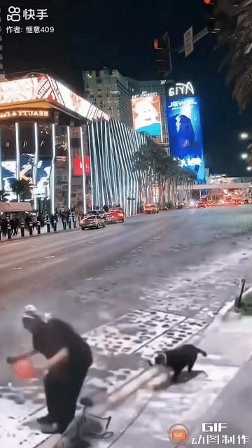 一位婆婆正在店门口收拾东西，突然一条黑狗蹿过来袭击她，婆婆被拽倒在地。就在这时，