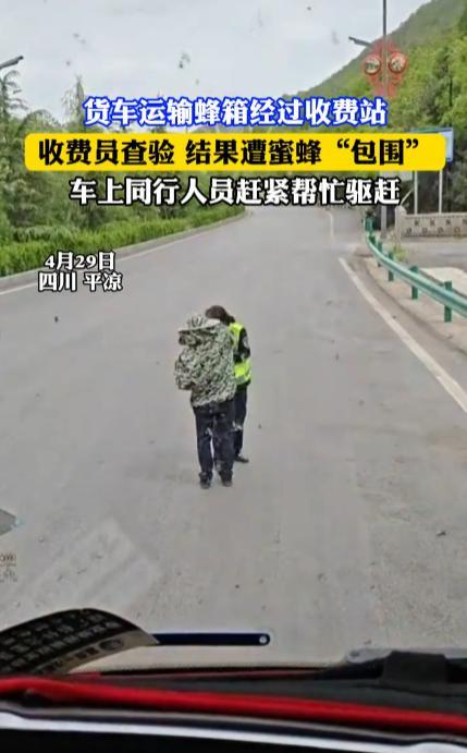 “高速收费员天塌了！”4月29日，四川平凉，一辆货车经过收费站时，遭到了收费员的