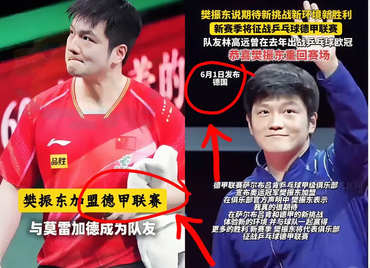 樊正东走了，
这次要去德国打球，
原来这一切早有预兆，之前接受采访
就说过