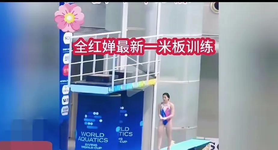 婵宝今天正式进入到水上训练了，婵宝康复+备战十五运训练，之前是陆上的康复力量训练