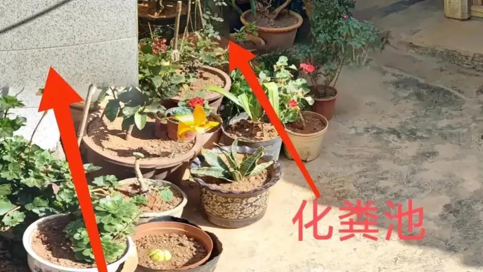 阳宅风水：家里人吵架不合，师傅说是化粪池位置不好，怎么解决？