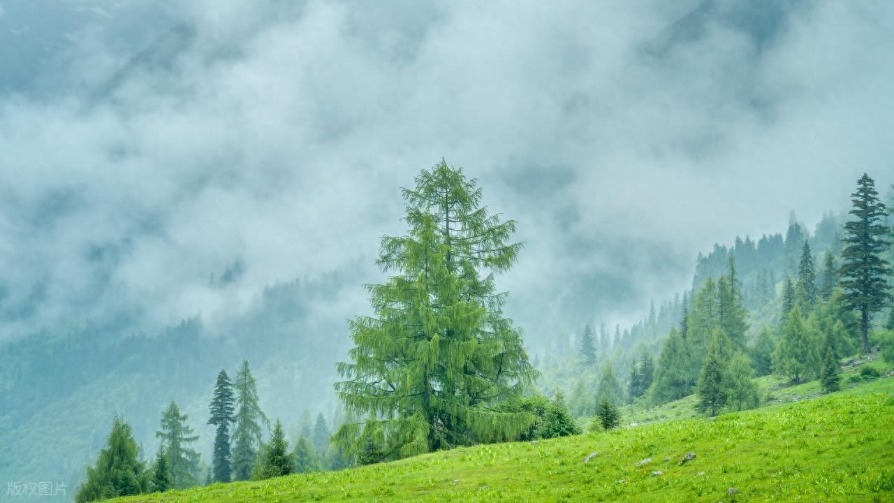 注塑加工温度感应器塑料abs壳家用电气电源控制器充电适配器外壳