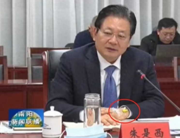 在落马整整一年后，河南南阳市委原书记朱是西被“双开”。在对查实的违法违纪问题当中