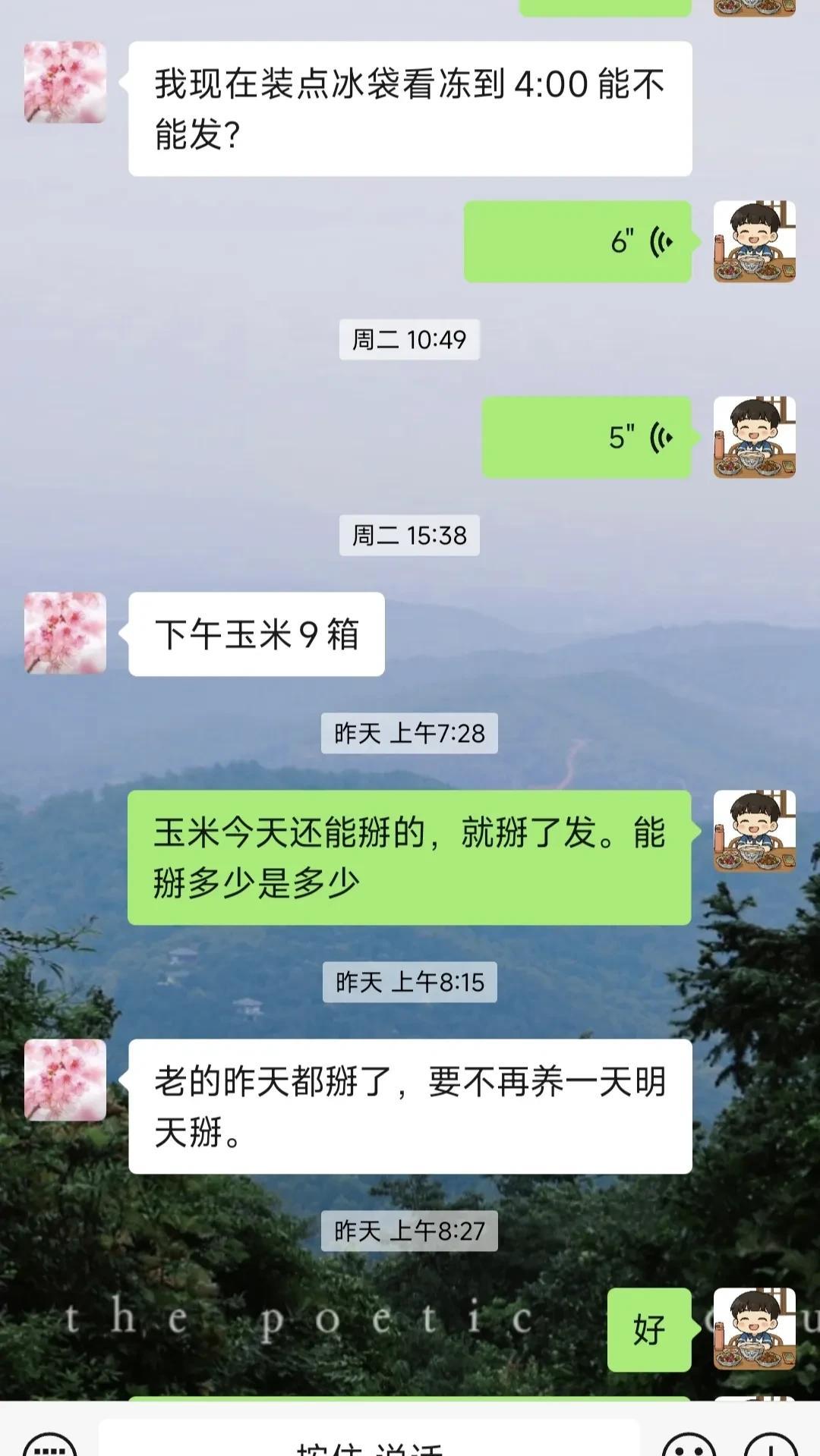 前天工人大姐摘了16箱玉米。
昨天她又摘了8箱蔬菜。
这次我全程没有参与，都是她