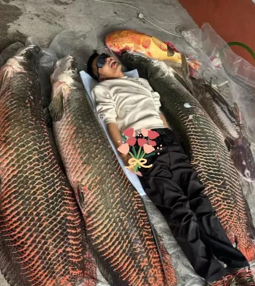 钓界“核弹级”战绩！这波能吹一辈子吧！

钓鱼佬直接钓出“史诗级鱼群”，往地