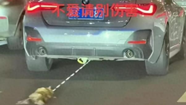 反转！宝马女司机拖猫后续：已立案，警方公布监控，女司机很无辜