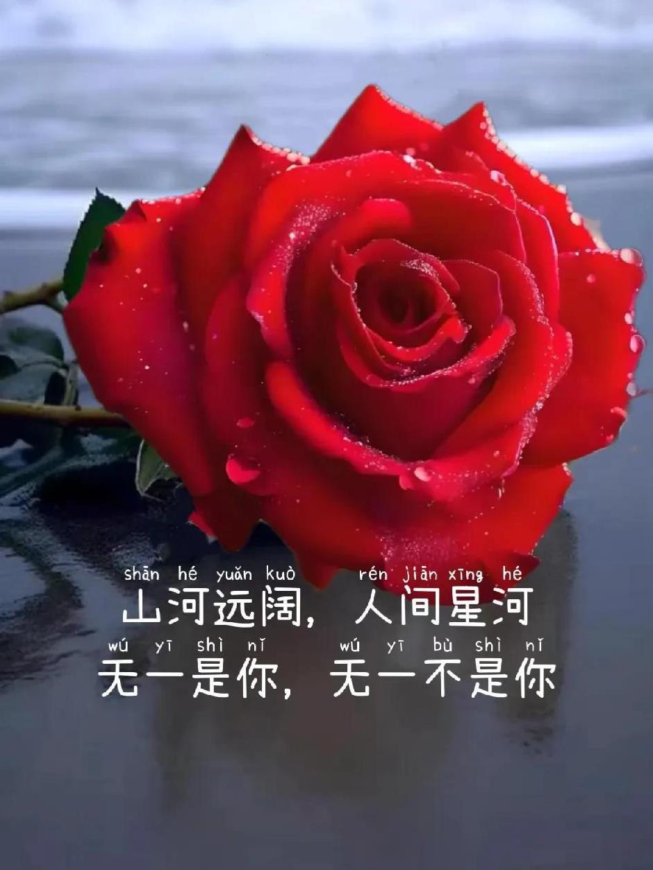 就算有一天
各自散落天涯
再也不见面
不联系
我也不会忘了你
世人万千
我可以不