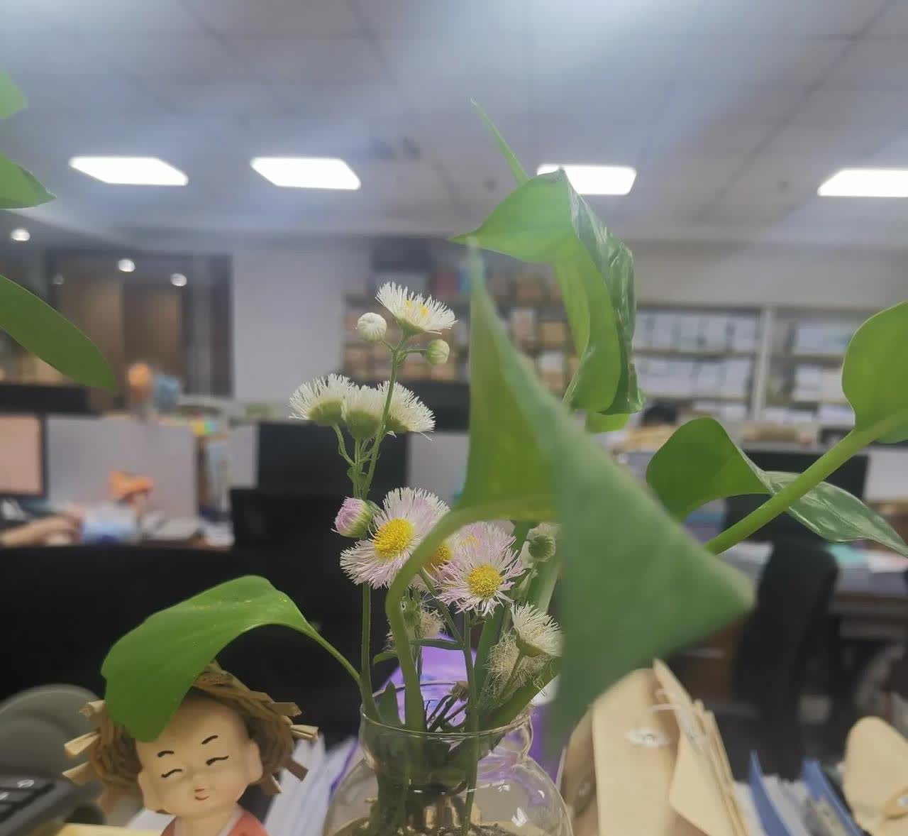 简郁珊与陈羿璇不是同一个人，戴上口罩跟一个人似的，而前天爆出台湾网红馆长要来大陆