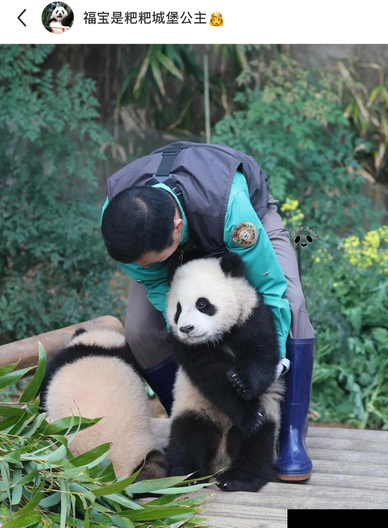 辉宝：让我看看，到底是谁在抱我，哦，原来是爷爷啊，哈哈哈哈哈，辉宝和身后的睿宝都