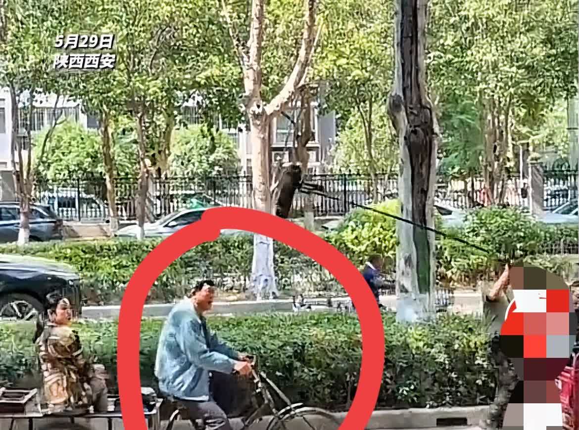 张嘉译火了！
不是因为他演戏演的太好，也不是因为他做了什么见不得人的事情，而是