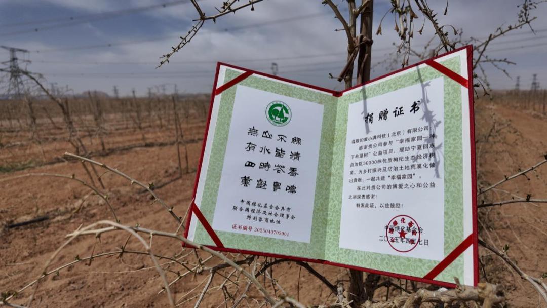 度小满助力种下希望树 共绘生态保护与乡村振兴新画卷