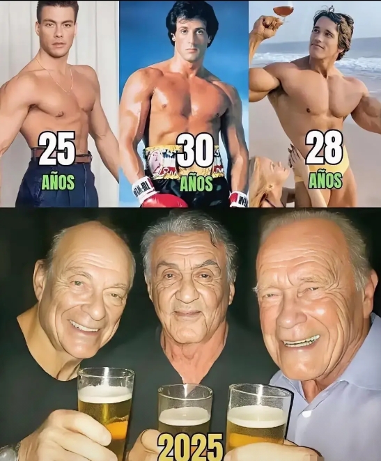 时光飞逝，猛男们都老了！
自从看了第一滴血1喜欢上了史泰龙，后面的2、3、4部都