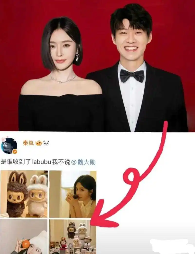 不理解秦岚都已经46岁了，差不多到了快要绝经的年纪了，说真的以后生育也是一个难题