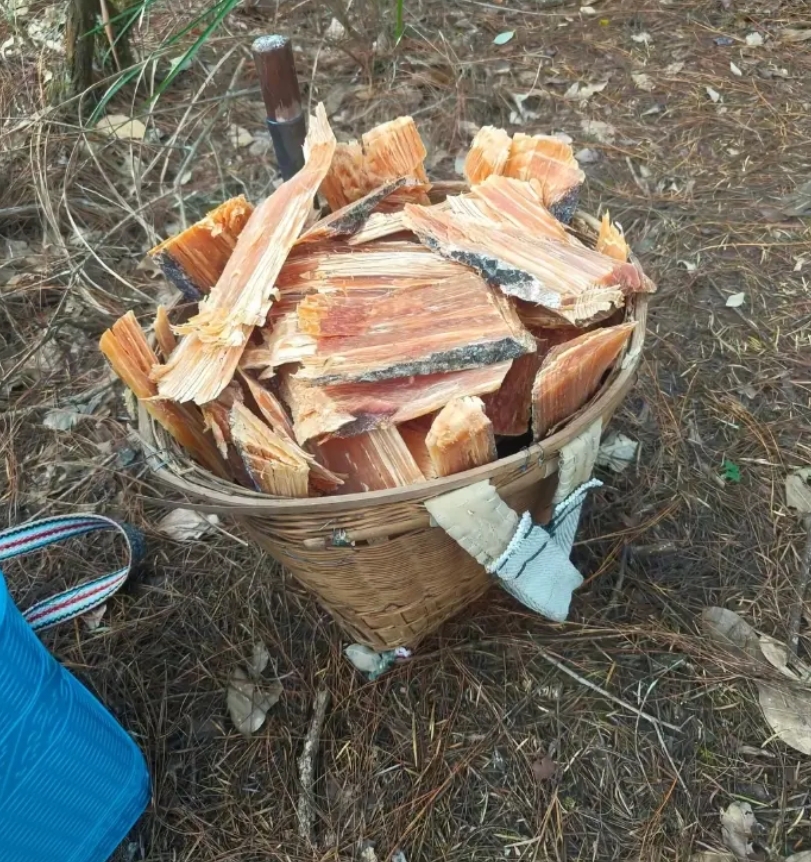 别动不动就说回农村，说说看这是鱼干还是牛肉干！