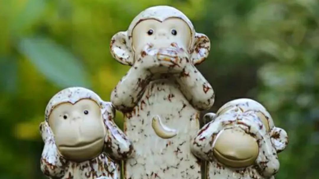 曹旭：不愿说话