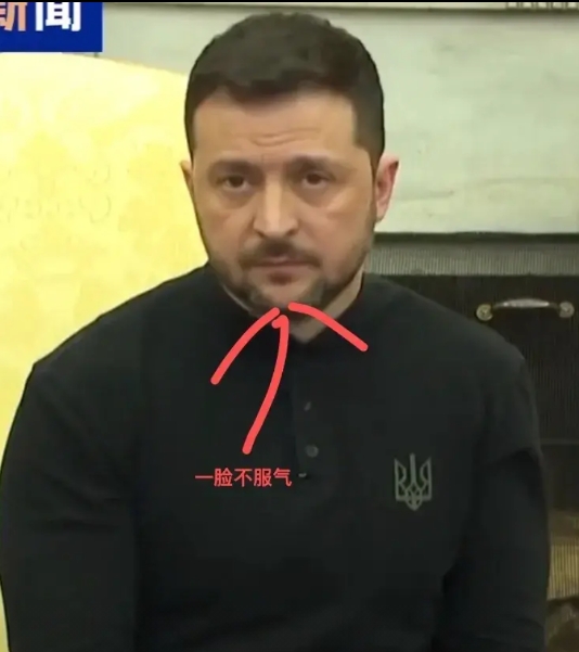 一觉醒来，马克龙和斯塔默都沉默了。

他俩去白宫都没敢干的事情，没想到泽连斯基真